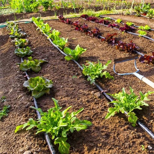 Irrigation-Online-Poly-Tube