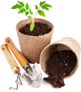 Devi Irrigation Systems Pvt Ltd