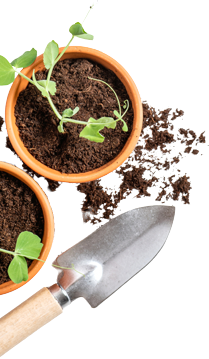 Devi Irrigation Systems Pvt Ltd
