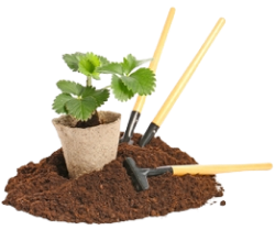 Devi Irrigation Systems Pvt Ltd