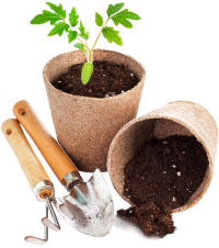 Devi Irrigation Systems Pvt Ltd