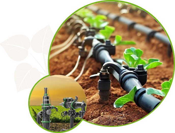 Devi Irrigation Systems Pvt Ltd